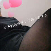 ヒメ日記 2026/03/12 09:00 投稿 こなつ 奥鉄オクテツ奈良