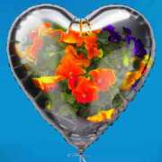 ヒメ日記 2026/04/01 12:03 投稿 麻生 AROMA VENUS