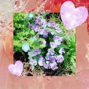 ヒメ日記 2026/04/04 14:48 投稿 麻生 AROMA VENUS