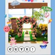 ヒメ日記 2026/04/04 19:48 投稿 麻生 AROMA VENUS