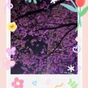 麻生 ※無題 AROMA VENUS