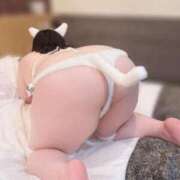 ヒメ日記 2026/04/06 21:27 投稿 ほのか ぷよラブ れぼりゅ～しょん