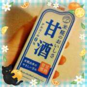 ヒメ日記 2026/03/16 19:17 投稿 加藤　いおり 東京ローズマリー