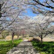 ヒメ日記 2026/03/18 20:37 投稿 加藤　いおり 東京ローズマリー