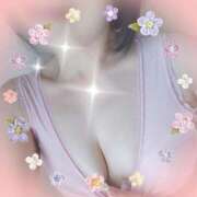 ヒメ日記 2026/03/30 07:37 投稿 加藤　いおり 東京ローズマリー