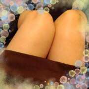 ヒメ日記 2026/04/08 10:17 投稿 加藤　いおり 東京ローズマリー