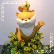 ヒメ日記 2026/04/20 07:47 投稿 加藤　いおり 東京ローズマリー