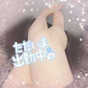 ヒメ日記 2026/05/11 09:57 投稿 加藤　いおり 東京ローズマリー