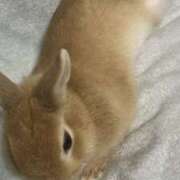 ヒメ日記 2026/04/11 18:50 投稿 はく メイドde本舗