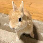ヒメ日記 2026/04/23 16:50 投稿 はく メイドde本舗