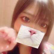 ヒメ日記 2026/08/22 08:16 投稿 はく メイドde本舗