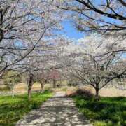 ヒメ日記 2026/03/18 20:44 投稿 加藤 ローズマリー大塚