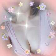 ヒメ日記 2026/03/30 07:44 投稿 加藤 ローズマリー大塚