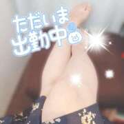 ヒメ日記 2026/07/26 10:07 投稿 加藤 ローズマリー大塚