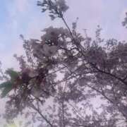 あかね 🌸🌸🌸🌸 極楽城(ゴクラクジョウ)