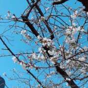 ヒメ日記 2026/03/28 00:11 投稿 ちひろ Blue Lagoon(ブルーラグーン)