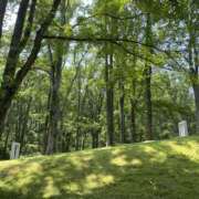 みみ ごめんなさい🙇‍♀️ 角海老石亭