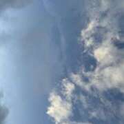 ヒメ日記 2026/06/04 07:38 投稿 みみ 角海老石亭