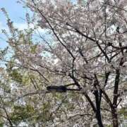 ヒメ日記 2026/03/31 14:32 投稿 りつ◇細身の色白美肌美少女◇ H-ash（アッシュ）