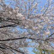 ヒメ日記 2026/04/24 17:02 投稿 ゆず ぽちゃカワ女子専門店　藤沢湘南店