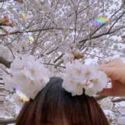 ヒメ日記 2026/03/20 07:52 投稿 ゆきね 熟女の風俗最終章 新宿店