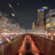 ヒメ日記 2026/03/30 05:22 投稿 ゆきね 熟女の風俗最終章 新宿店