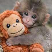 ゆきね パンチくん♡ 熟女の風俗最終章 池袋店