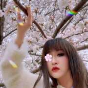 ヒメ日記 2026/03/18 00:52 投稿 ゆきね 熟女の風俗最終章 池袋店