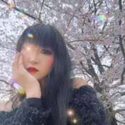 ヒメ日記 2026/04/04 15:36 投稿 ゆきね 熟女の風俗最終章 池袋店