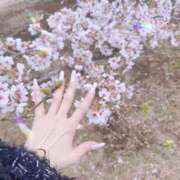 ヒメ日記 2026/04/11 01:22 投稿 ゆきね 熟女の風俗最終章 池袋店