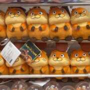 ヒメ日記 2026/04/09 02:49 投稿 すず ピンクコレクション大阪キタ店