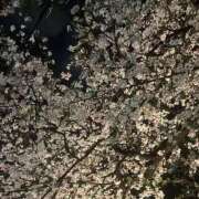 ヒメ日記 2026/04/07 01:01 投稿 すず ピンクコレクション大阪