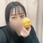 ヒメ日記 2026/04/08 00:31 投稿 すず ピンクコレクション大阪