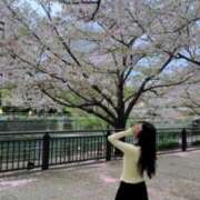 ヒメ日記 2026/04/08 16:29 投稿 りんか ぐっすり山田　上野店