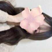 ヒメ日記 2026/03/28 00:05 投稿 ひめ Gossip girl