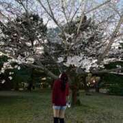 ヒメ日記 2026/03/24 20:32 投稿 うな 風俗の神様　浜松店