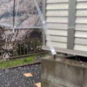 ヒメ日記 2026/04/01 23:06 投稿 新庄 昼顔妻 五反田店