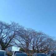 ヒメ日記 2026/03/12 15:22 投稿 るい Hip's千葉駅前店