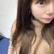 ヒメ日記 2026/03/11 10:15 投稿 【SP】ねこ サマンサ(和歌山)