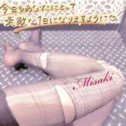 ヒメ日記 2026/04/06 15:04 投稿 みさき 西船人妻花壇