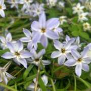 ヒメ日記 2026/04/11 22:45 投稿 みさき 西船人妻花壇