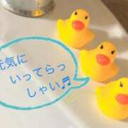 ヒメ日記 2026/04/30 22:49 投稿 みさき 西船人妻花壇