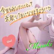ヒメ日記 2026/07/23 10:53 投稿 みさき 西船人妻花壇