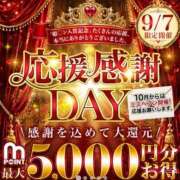 ヒメ日記 2026/09/05 15:28 投稿 みさき 西船人妻花壇