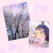 ヒメ日記 2026/04/08 13:23 投稿 おりえ ハピネス札幌