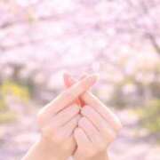 ヒメ日記 2026/04/11 13:15 投稿 カエデ CANDY　BELOVED