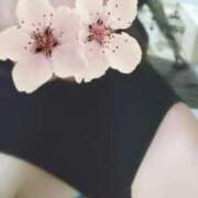 ヒメ日記 2026/07/15 19:46 投稿 カエデ CANDY　BELOVED