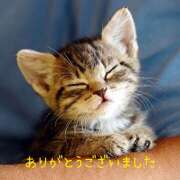 ヒメ日記 2026/03/10 23:00 投稿 ひろ 風鈴（ふうりん）