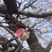 ヒメ日記 2026/03/12 19:48 投稿 ひろ 風鈴（ふうりん）