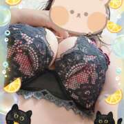 ヒメ日記 2026/04/02 10:03 投稿 ひろ 風鈴（ふうりん）